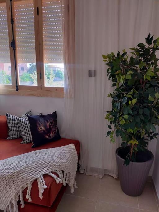 Appartement Chez Joudia Et Mamoun